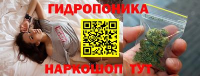 меф Кингисепп