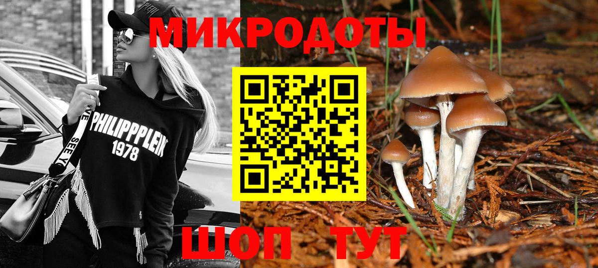 Псилоцибиновые грибы мицелий Комсомольск-на-Амуре
